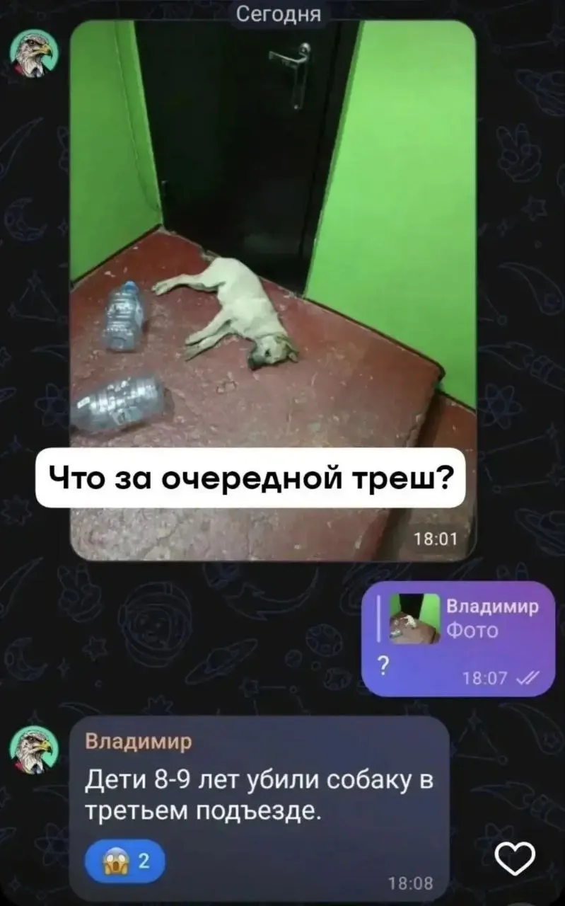 Правоохранители проводят проверку обстоятельств гибели животного и выясняют возможных свидетелей.