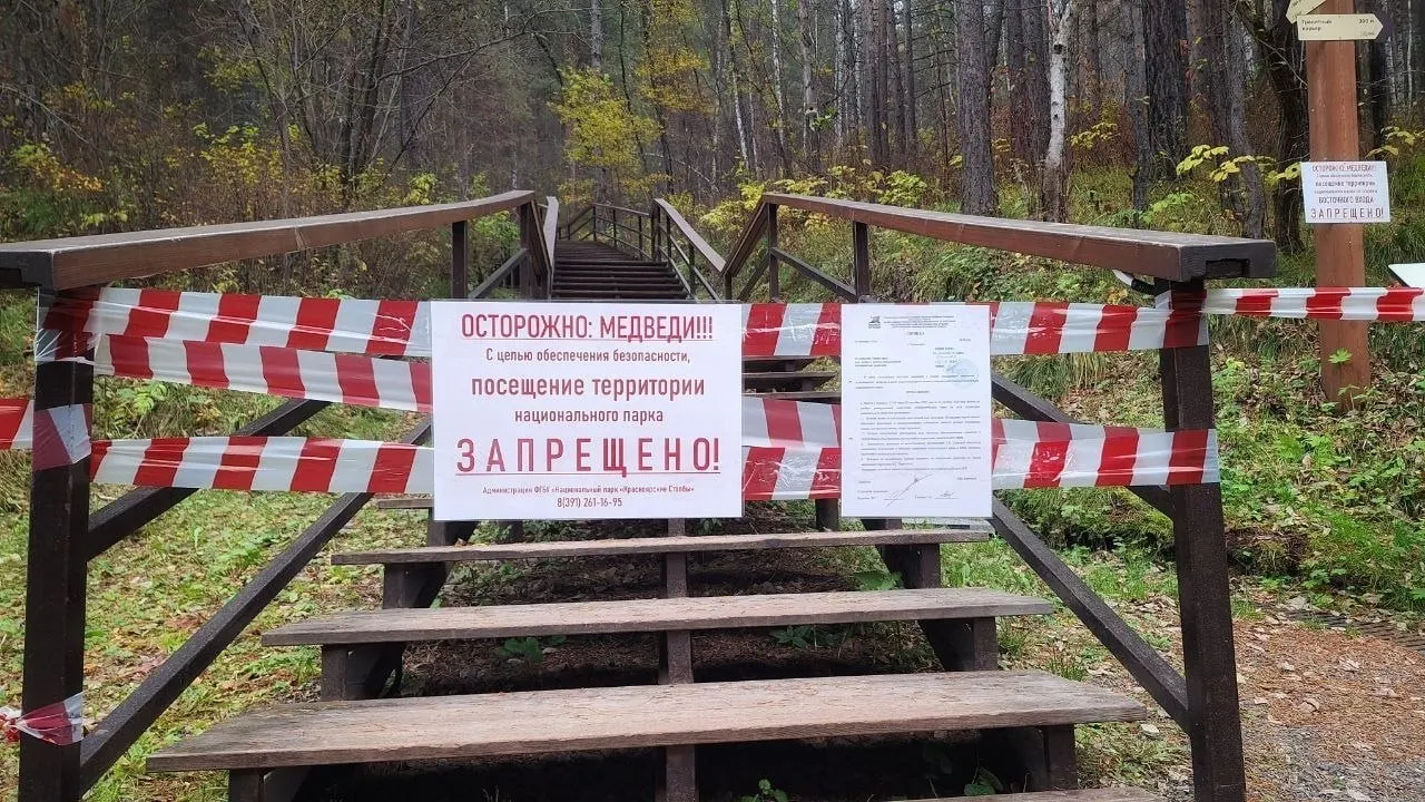 Запрет на вход в заповедник «Красноярские Столбы» отменят с 29 октября. Ранее называли срок 10 ноября. В дирекции уточнили, что медведи не появлялись в зоне прогулок и окрестностях за последние две недели.