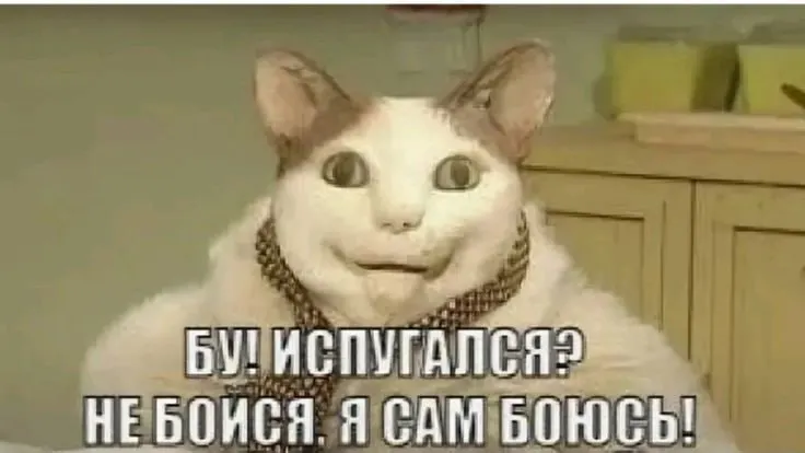 Образовательные ведомства обсудили возможность проведения праздничных мероприятий в учебных заведениях региона и альтернативы осеннему декору.