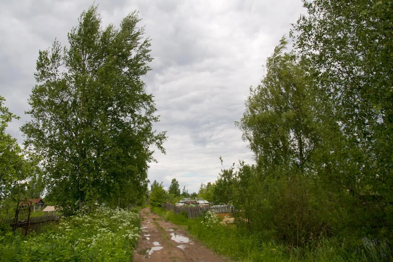 Обсуждение будущей застройки территории и статуса жильцов Пулково-2 прошло на встрече с чиновниками. Представители сообщества сообщили о потребности в социальной поддержке, власти планируют определить факты проживания и передать участок в федеральную собственность под новый кампус МВД.