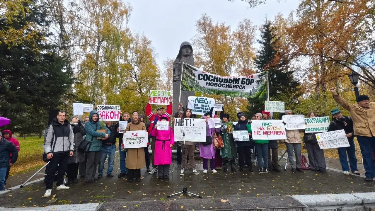 Около 300 человек вышли на митинг против вырубки соснового бора ради строительства спортивного комплекса и 12‑этажного корпуса с подземной парковкой; активисты собрали тысячи подписей, требуют сохранить лес.
