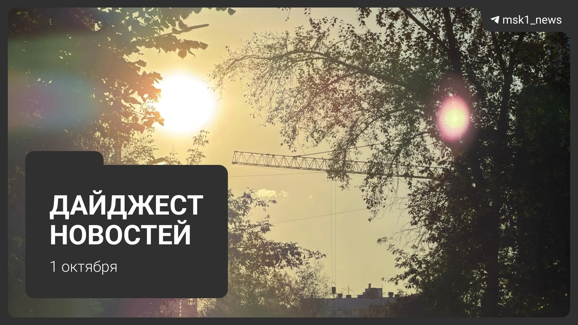 Обновления в здравоохранении, транспорте и жилье: топ-события дня.