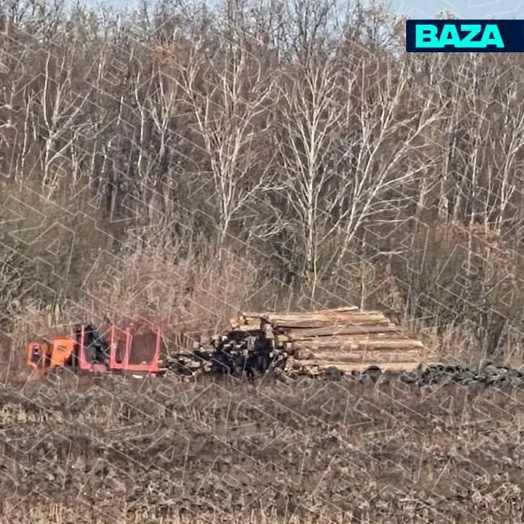 Жители деревни Горностаево и окрестностей добились отмены плана сжигания почти 800 коров рядом с деревней на фоне вспышки узелкового дерматита.