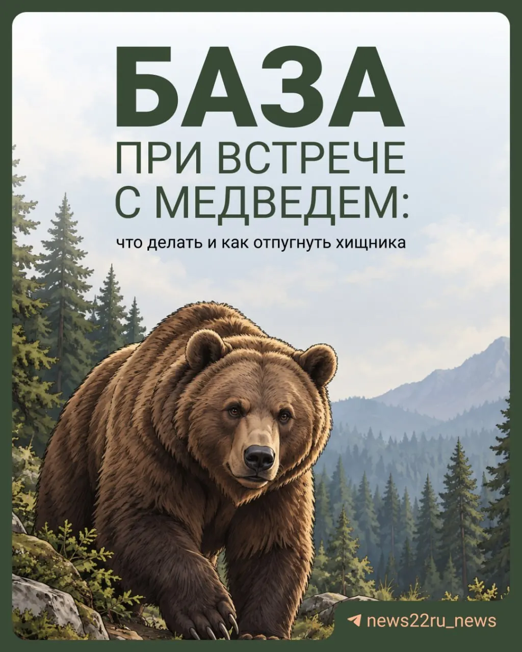 Разбираемся, как правильно вести себя в лесу при столкновении с хищником и как снизить риск нападения.