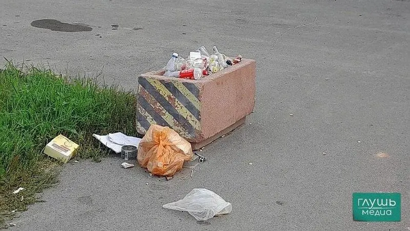 Жители региона будут приводить в порядок улицы, тротуары, скверы и дворы в начале октября в рамках общегородского субботника.