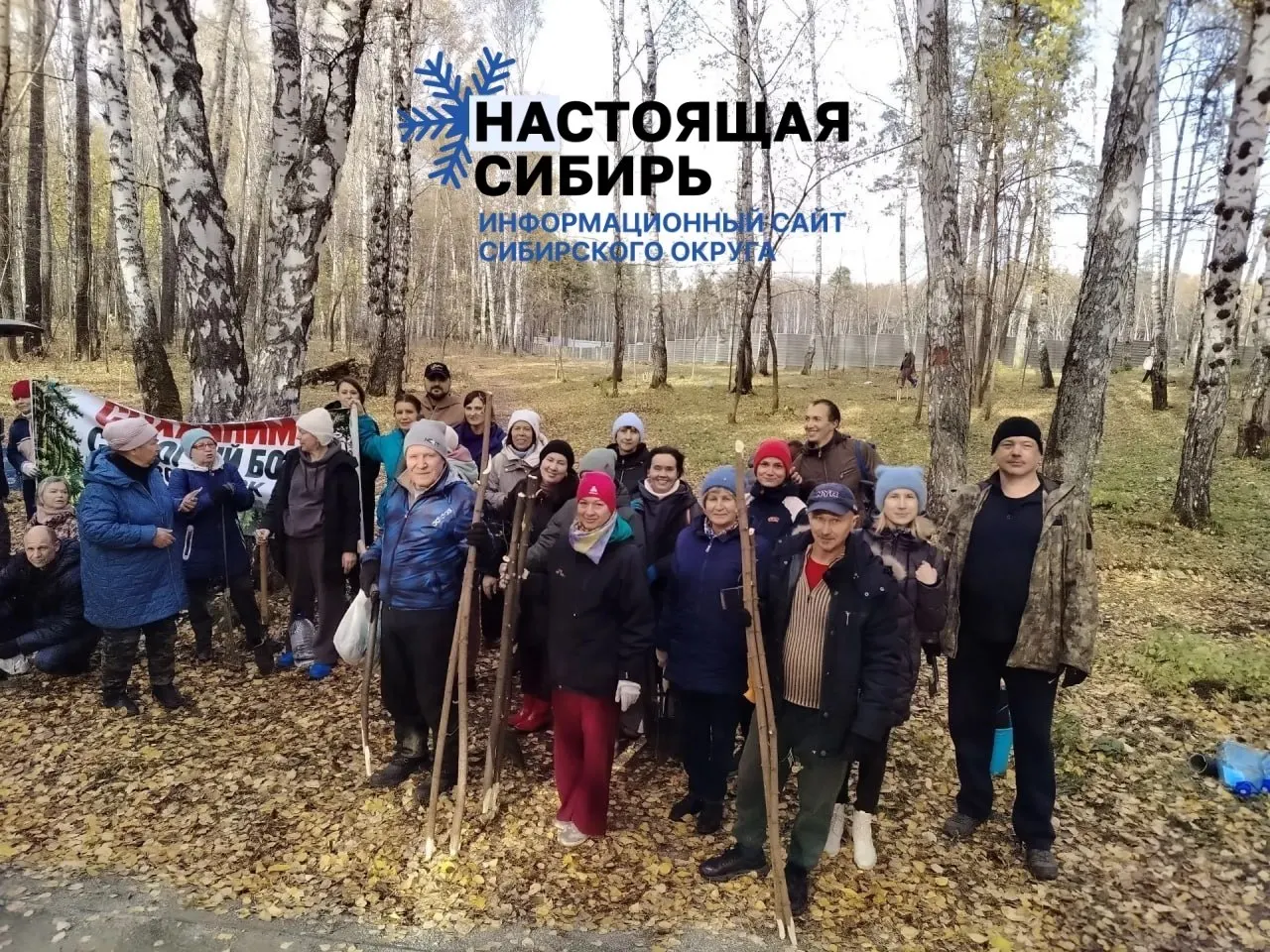 Прокуратура выявила нарушение при вырубке соснового бора под застройку спортивного комплекса: уничтожено 141 дерево; жители требуют сохранения леса и ответственности за нарушение.