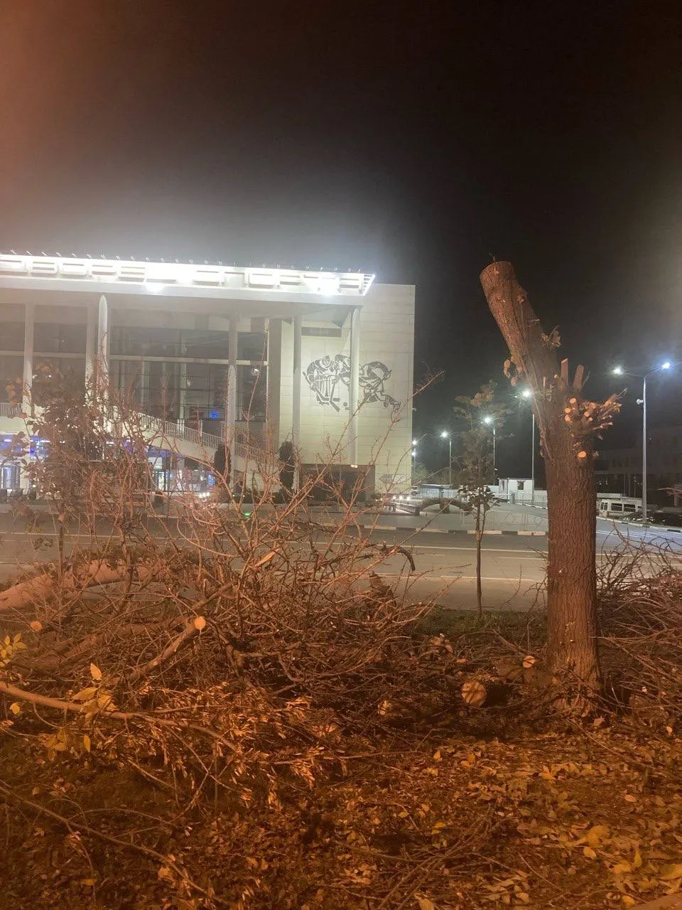 В центре города зафиксированы случаи уничтожения зелёных насаждений в нескольких скверах и по улицам; жители отмечают снижение зелёной зоны.